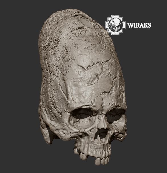 Craneo alargado Paracas 3D print model_8