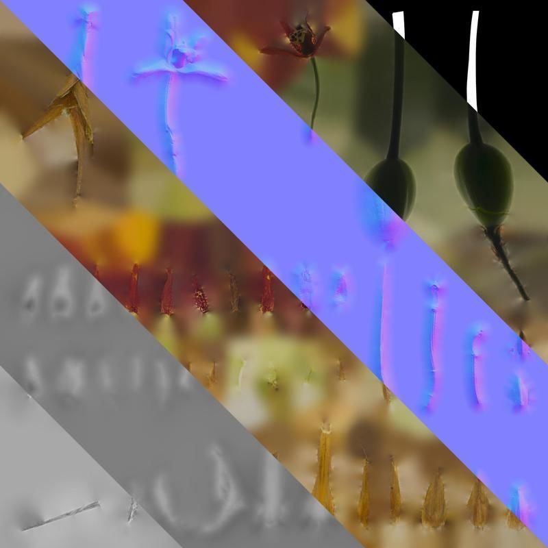 Anydrafts Maxillaria tenuifolia Atlas 01 Texture_8