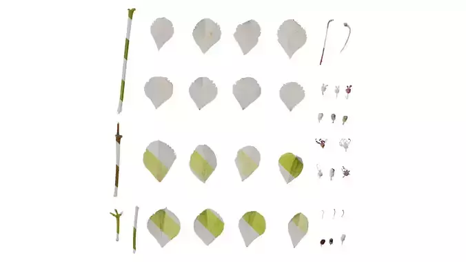 Anydrafts Hydrangea aspera Flower 04