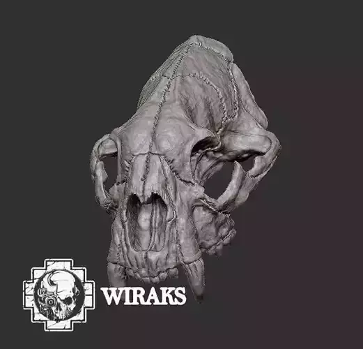 craneo puma 3D print model
