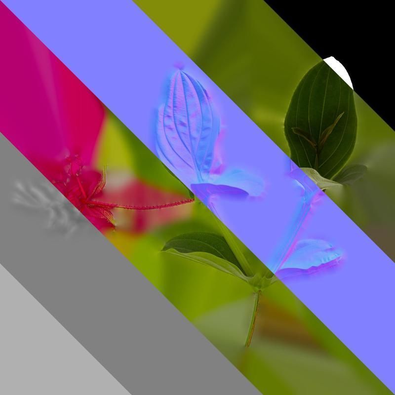 Anydrafts Medinilla magnifica Atlas 01 Texture_8