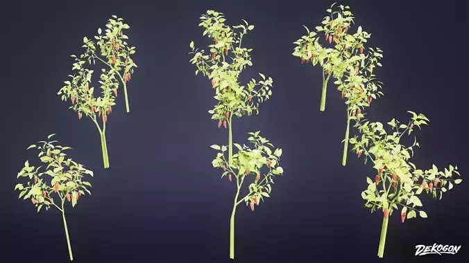 FOLIAGE - Plant Pepper 01 - LOW POLY 