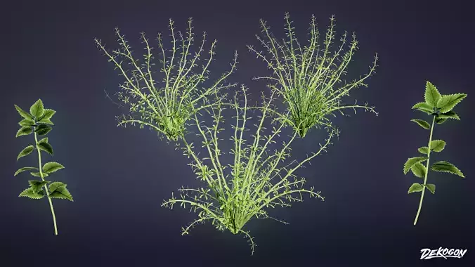 FOLIAGE - Plant Set 01 - LOW POLY AND NANITE