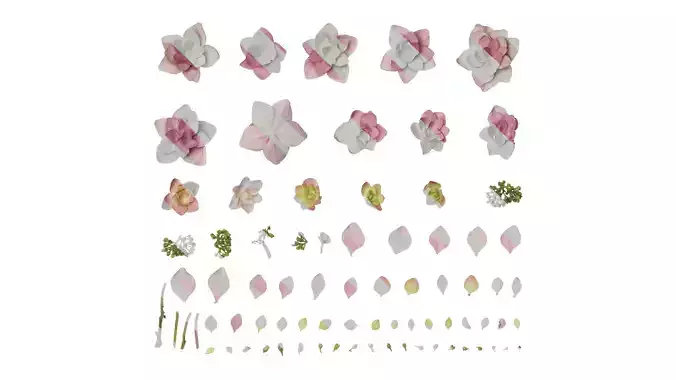 Anydrafts Hydrangea macrophylla Atlas 18