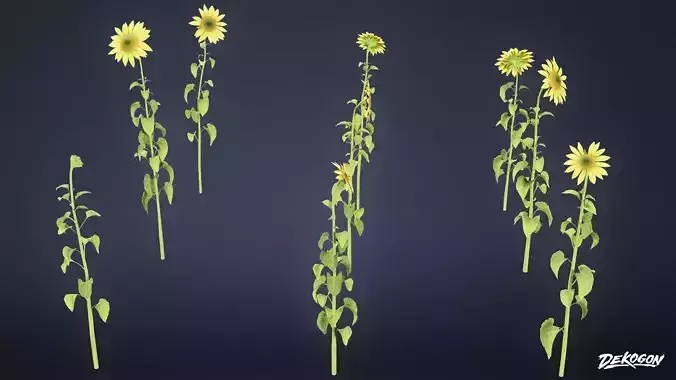 FOLIAGE - Plant Sunflower 01 - LOW POLY Low-poly 3D model