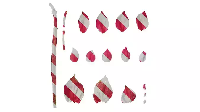 Anydrafts Medinilla magnifica Flower 03