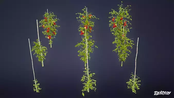 FOLIAGE - Plant Tomato 01 - LOW POLY