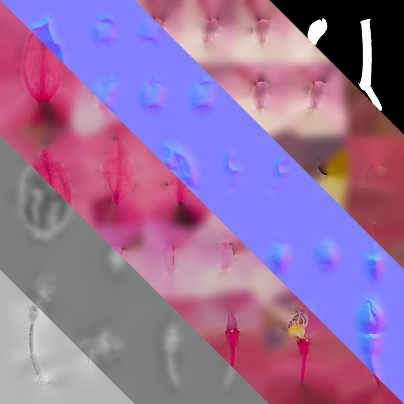 Anydrafts Medinilla magnifica Flower 04 Texture_8