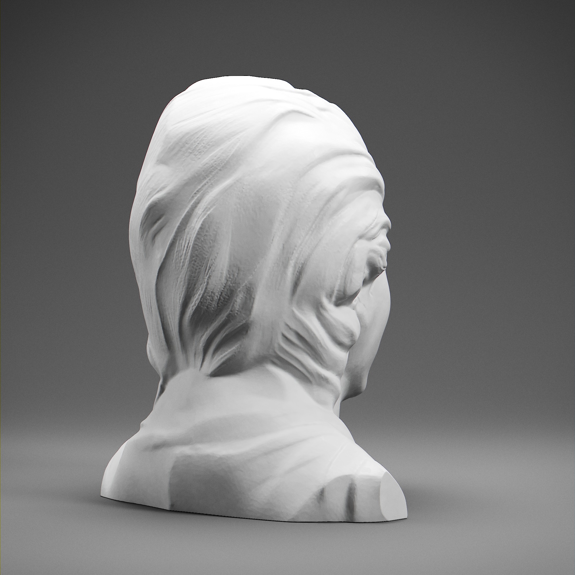 Emilie du Chatelet 3D print model_5