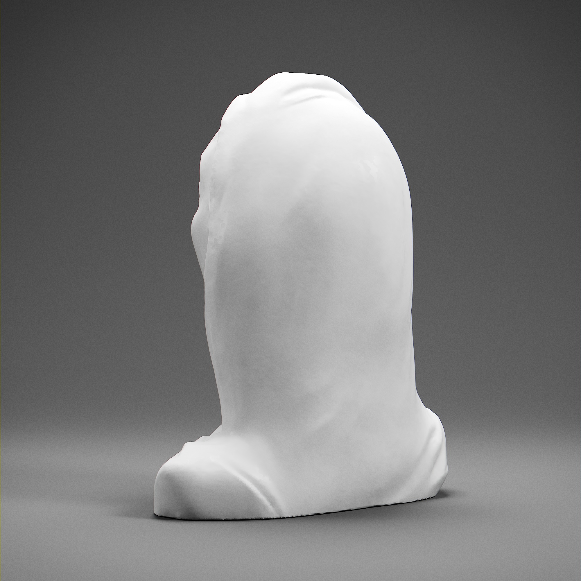 Tomyris 3D print model_3