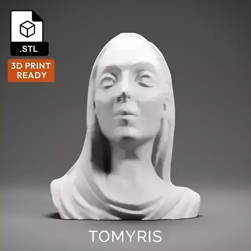 Tomyris 3D print model