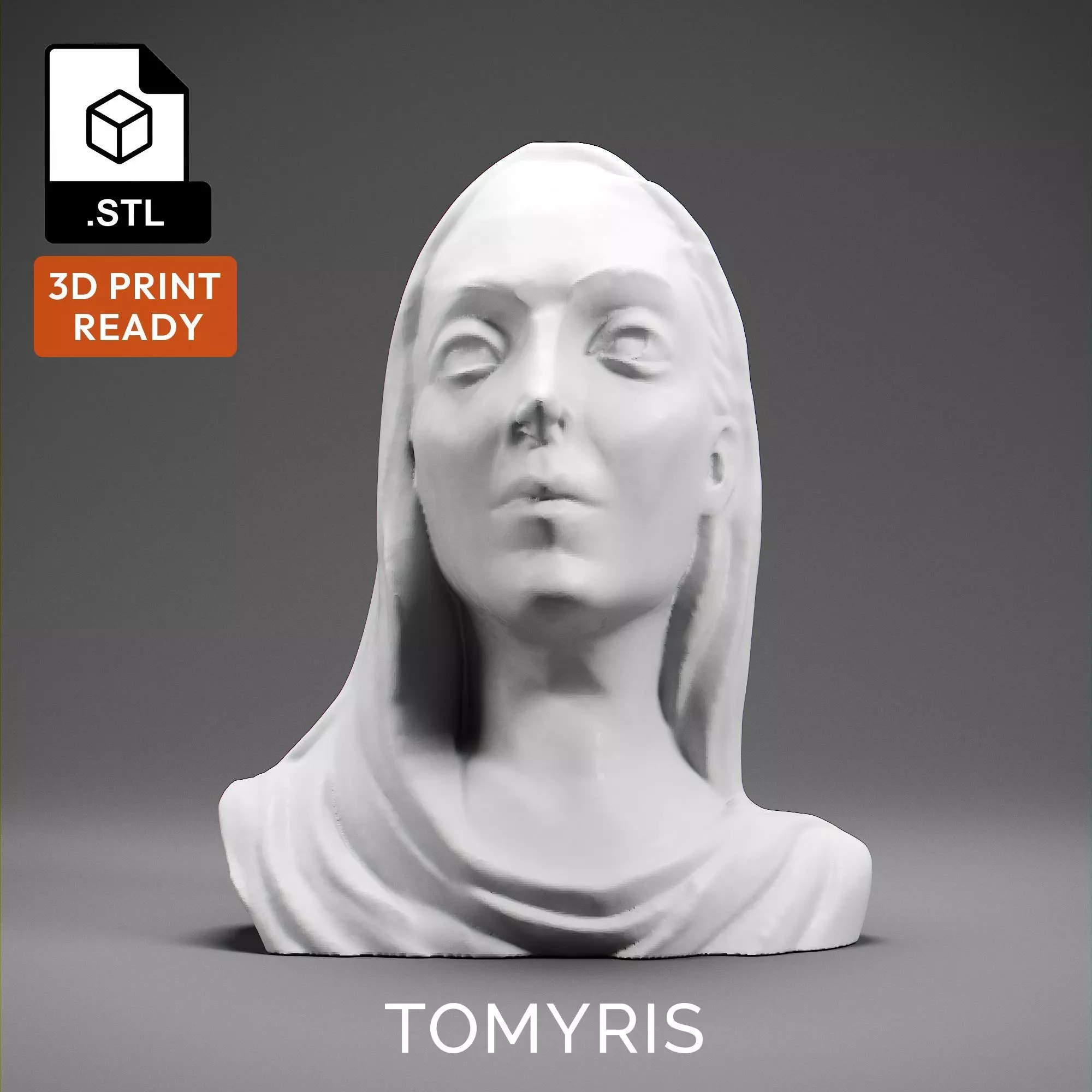 Tomyris 3D print model_0