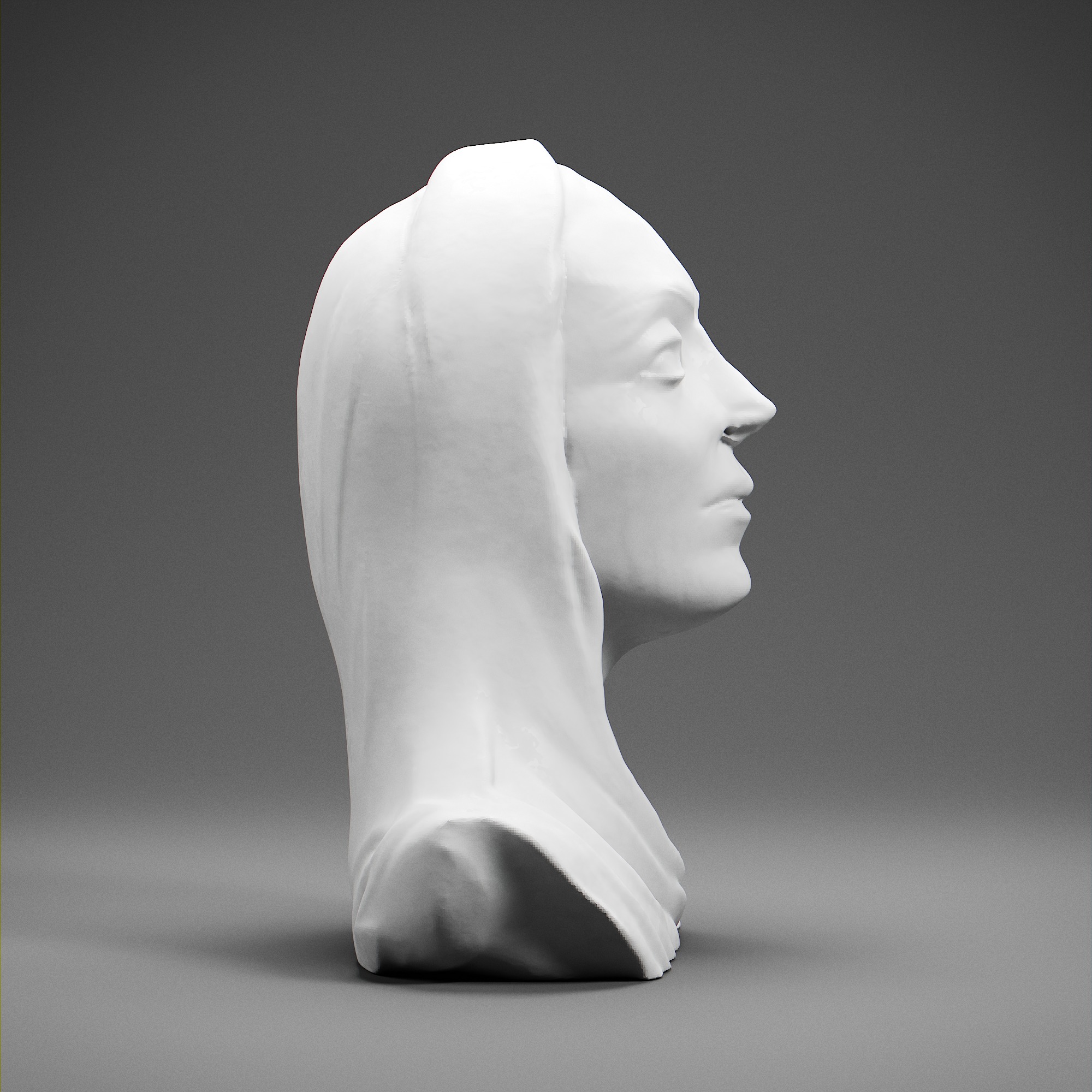 Tomyris 3D print model_6