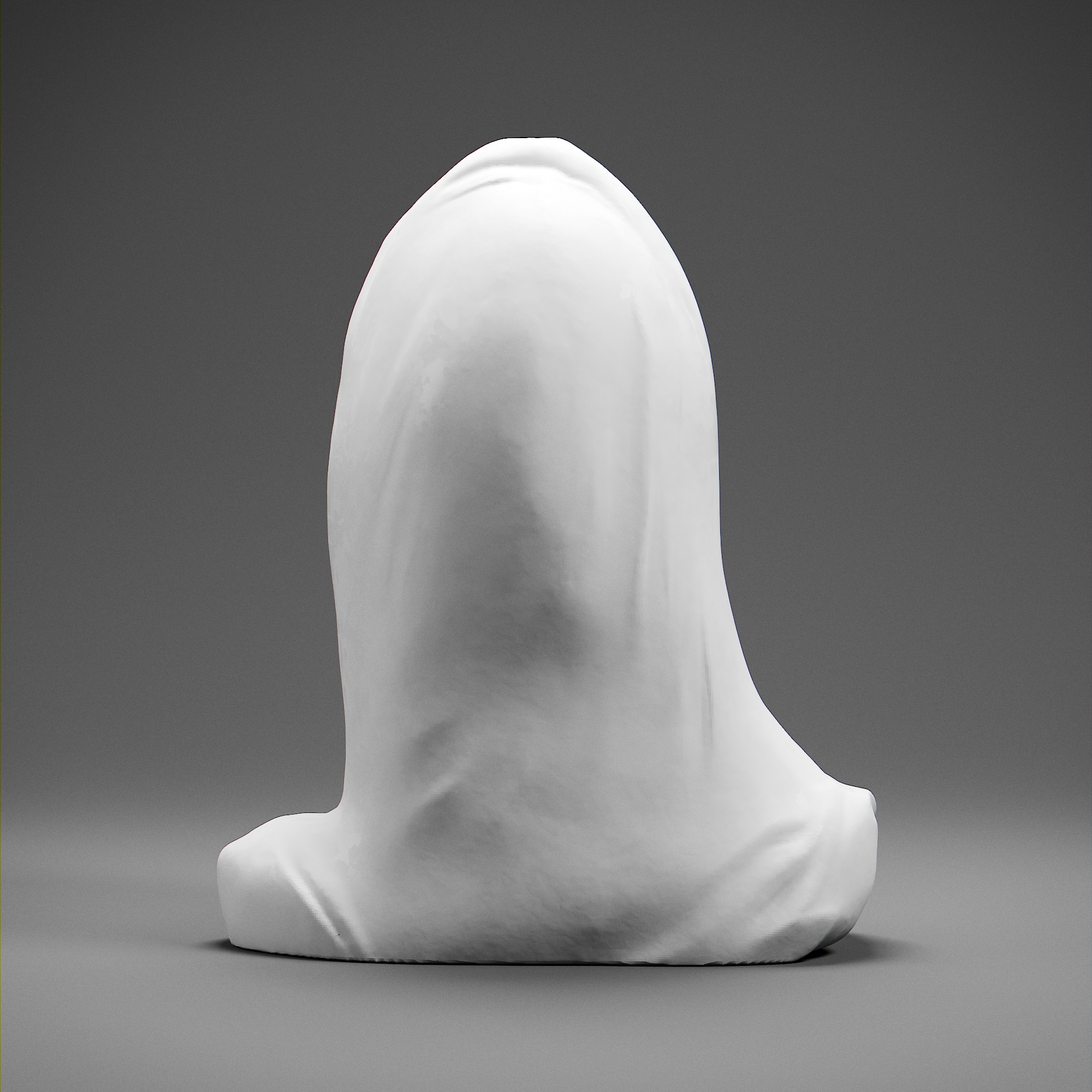 Tomyris 3D print model_4