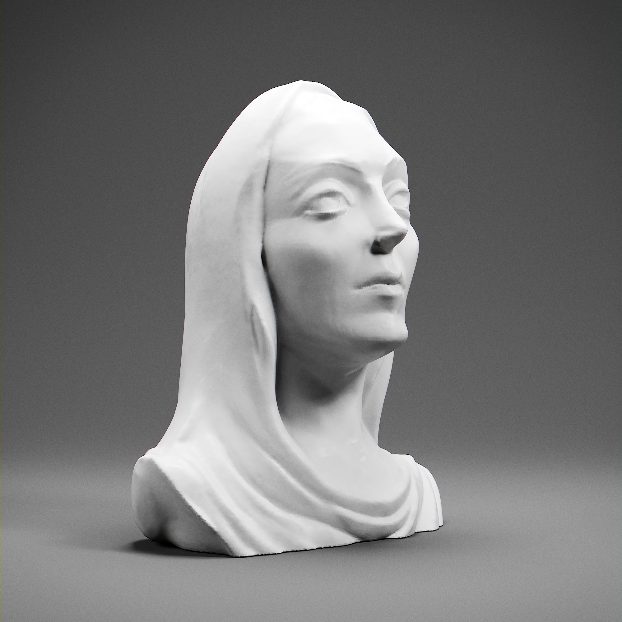 Tomyris 3D print model_7