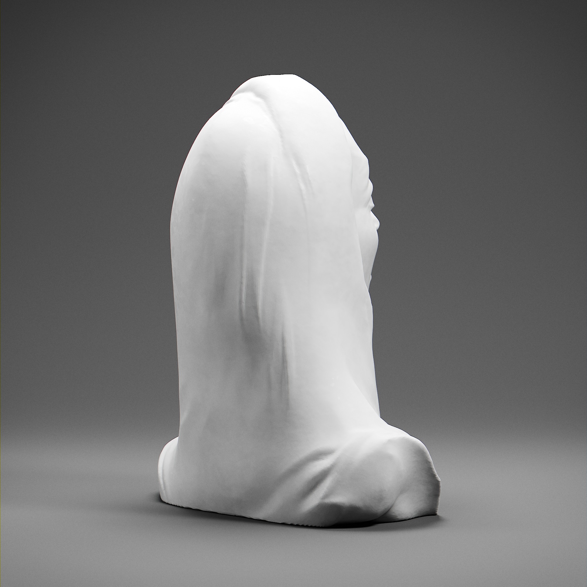 Tomyris 3D print model_5