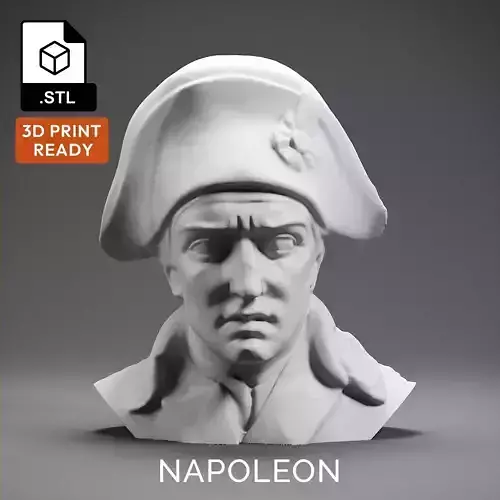 Napoleon 3D print model