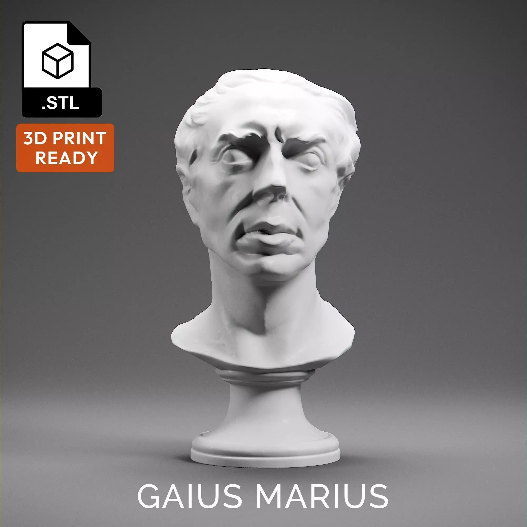 Gaius Marius 3D print model_0