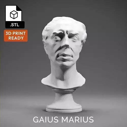 Gaius Marius 3D print model