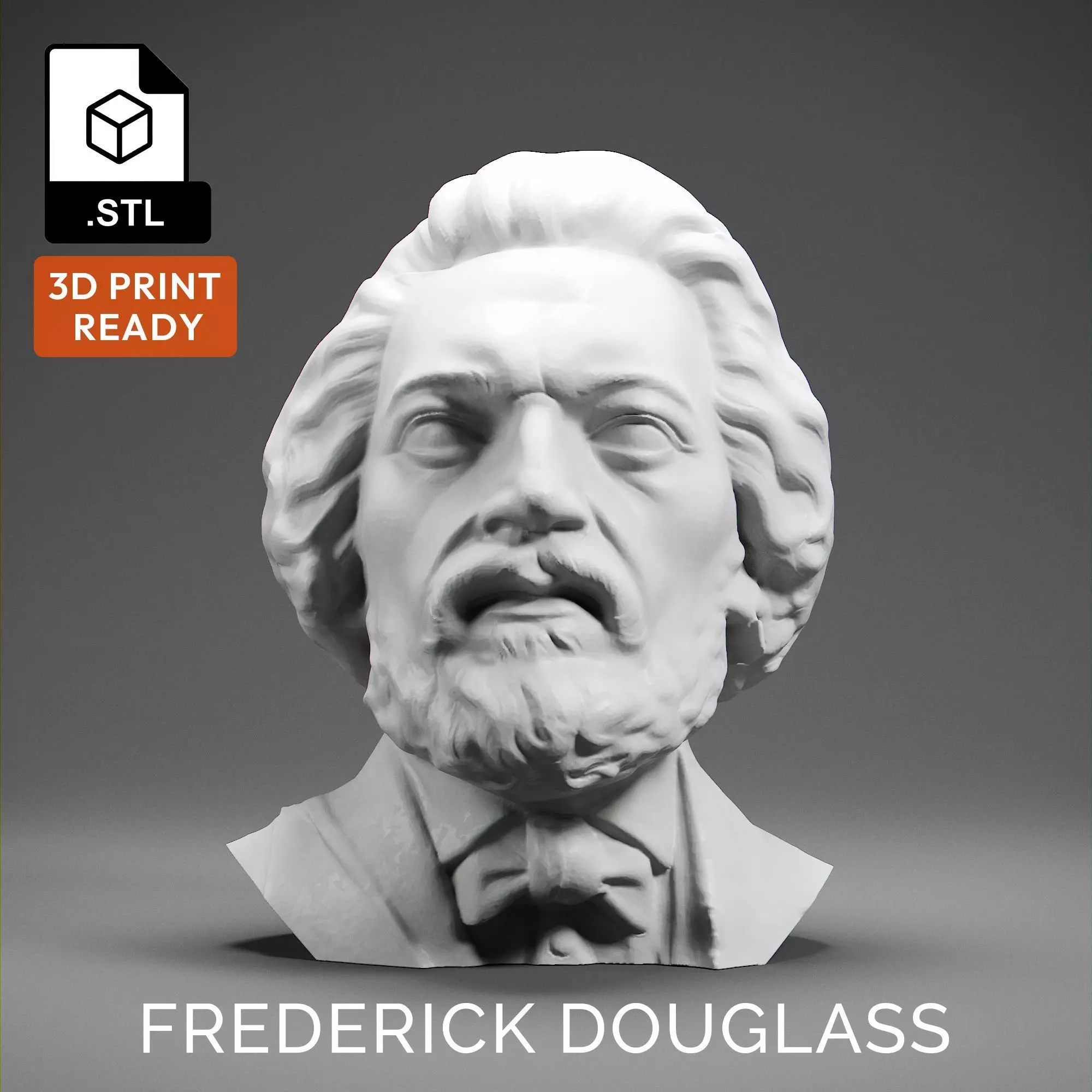 Frederick Douglass 3D print model_0