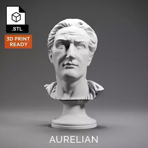 Aurelian 3D print model