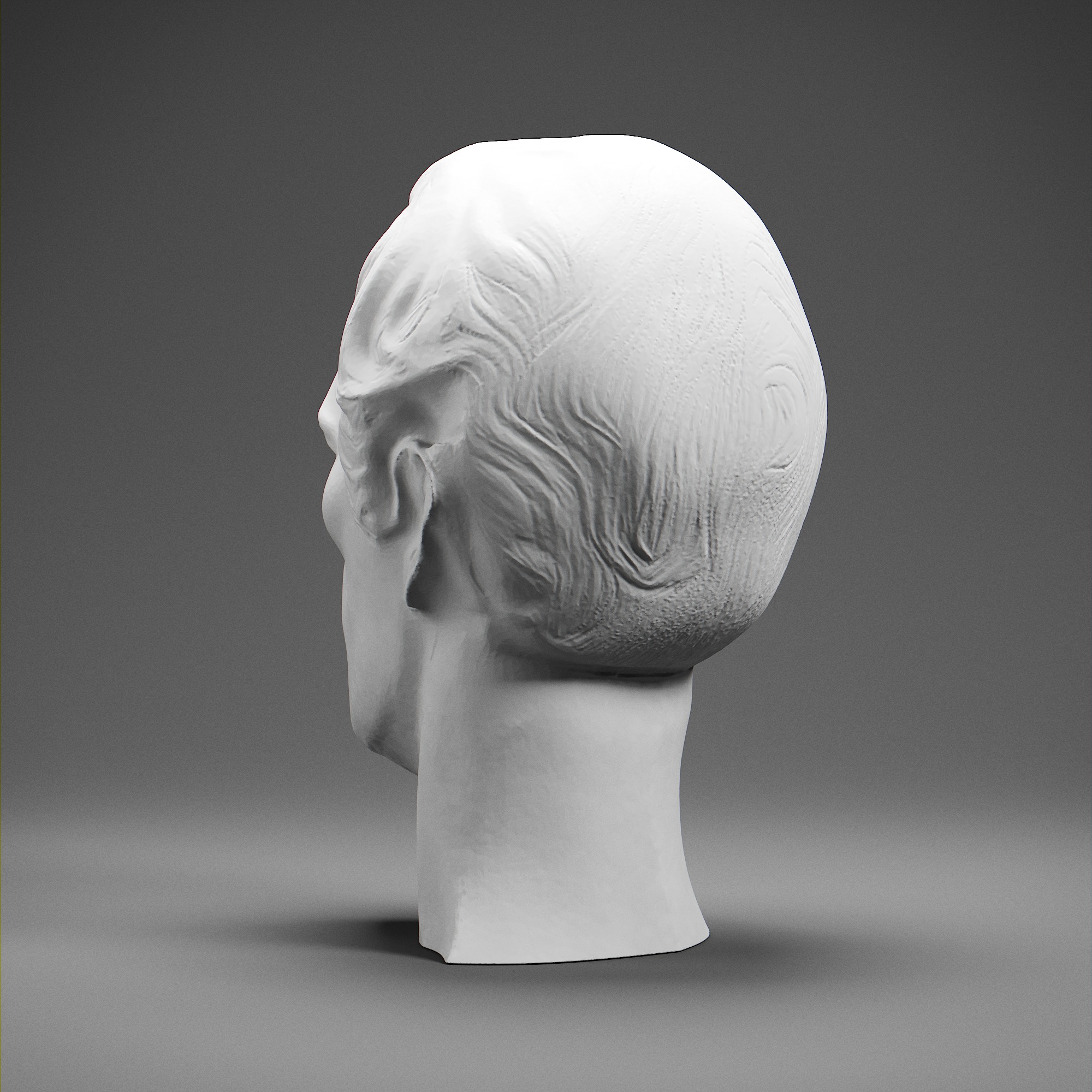 Alexander Hamilton 3D print model_3