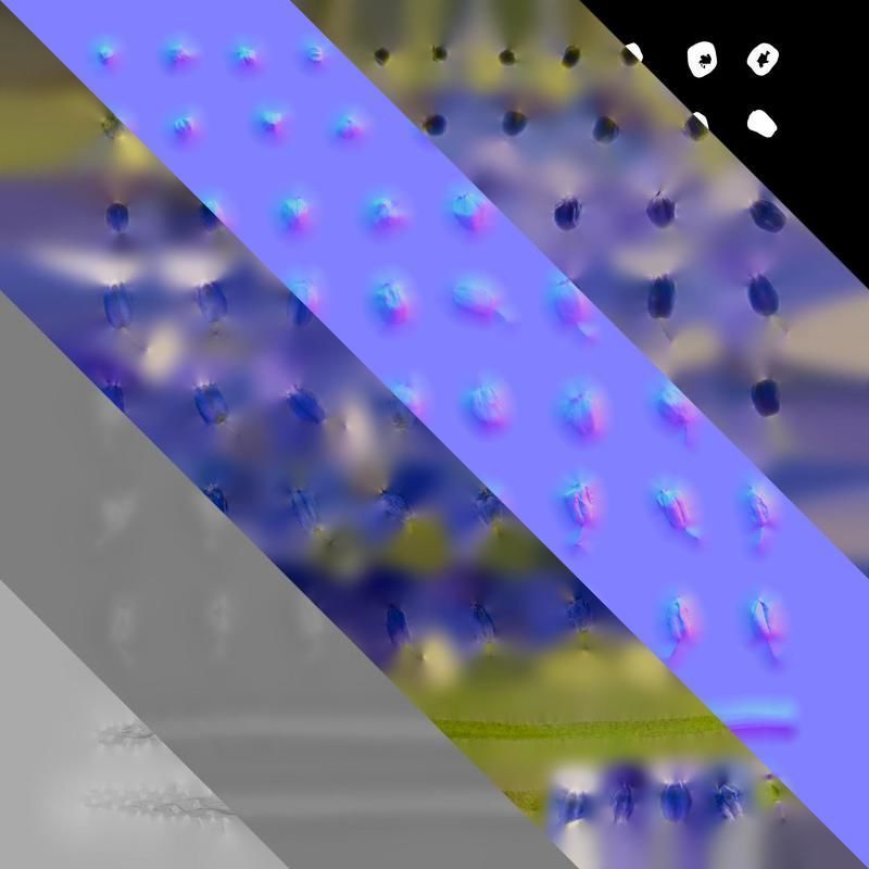 Anydrafts Muscari latifolium Flower 05 Texture_8