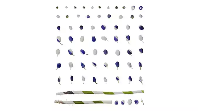 Anydrafts Muscari latifolium Flower 05