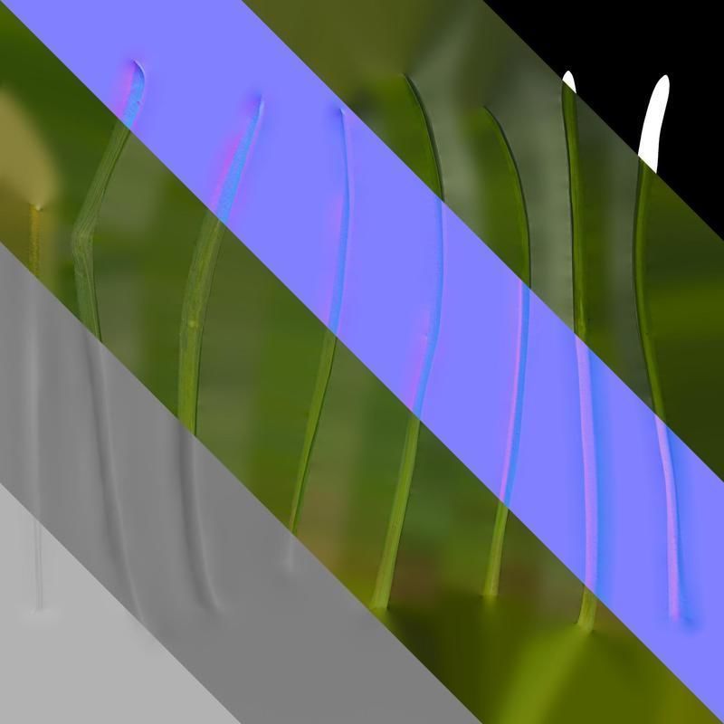 Anydrafts Muscari latifolium Leaf 01 Texture_8