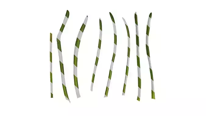 Anydrafts Muscari latifolium Leaf 01