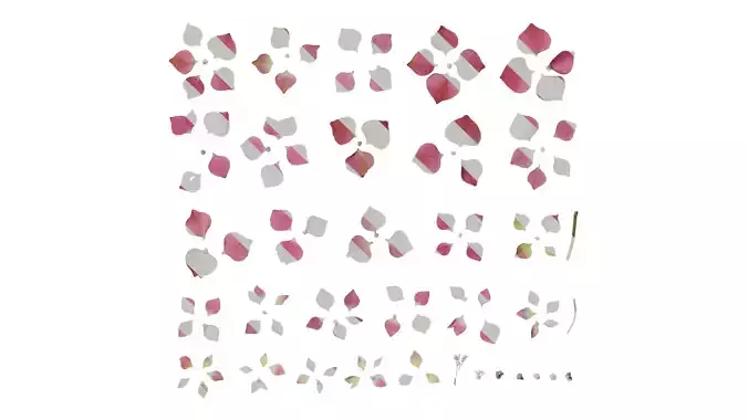 Anydrafts Hydrangea macrophylla Flower 01