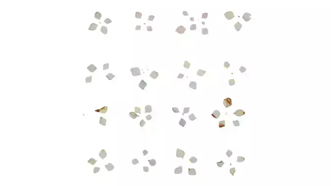 Anydrafts Hydrangea macrophylla Flower 05