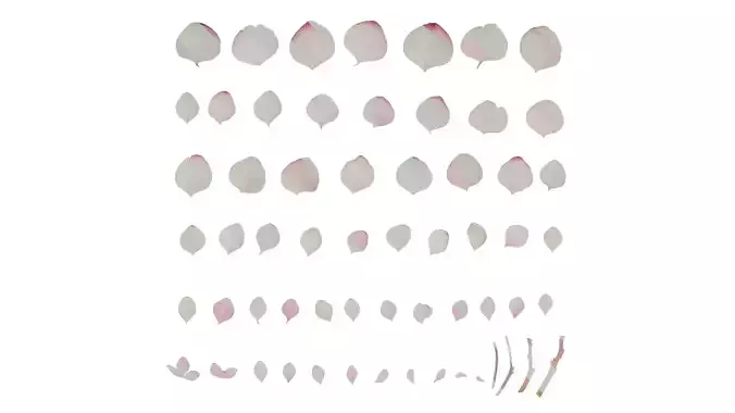 Anydrafts Hydrangea macrophylla Flower 08