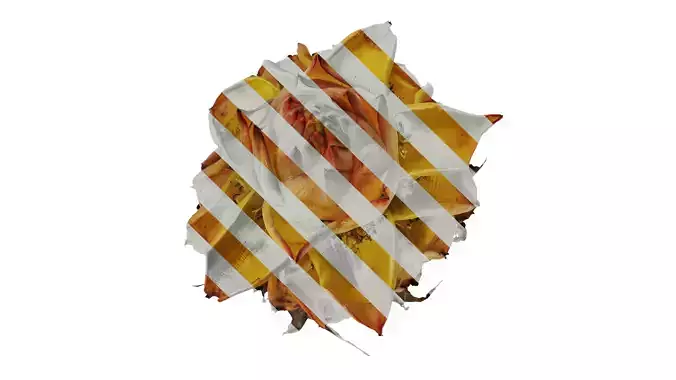 Anydrafts Musella lasiocarpa Flower 03