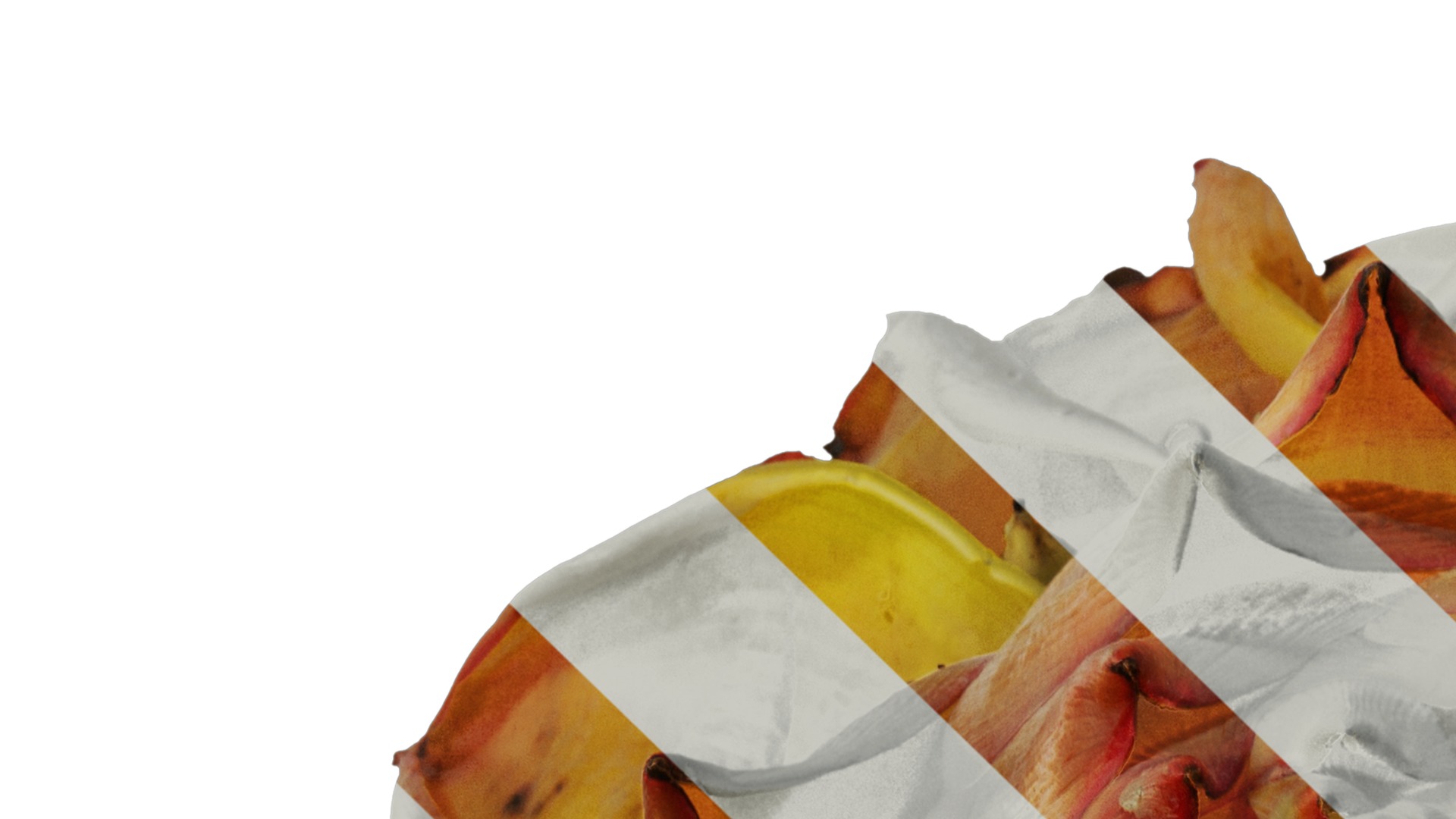 Anydrafts Musella lasiocarpa Flower 03 Texture_1