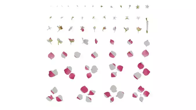 Anydrafts Hydrangea macrophylla Flower 12