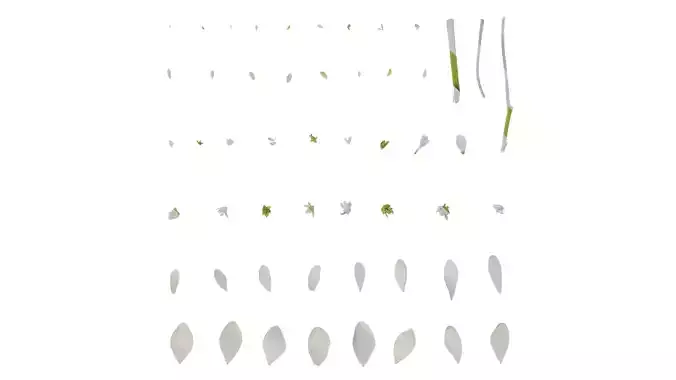 Anydrafts Hydrangea macrophylla Flower 15