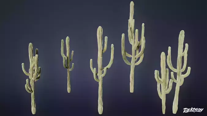FOLIAGE - San Pedro Cactus - LOW POLY