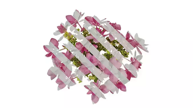 Anydrafts Hydrangea macrophylla Flower 33