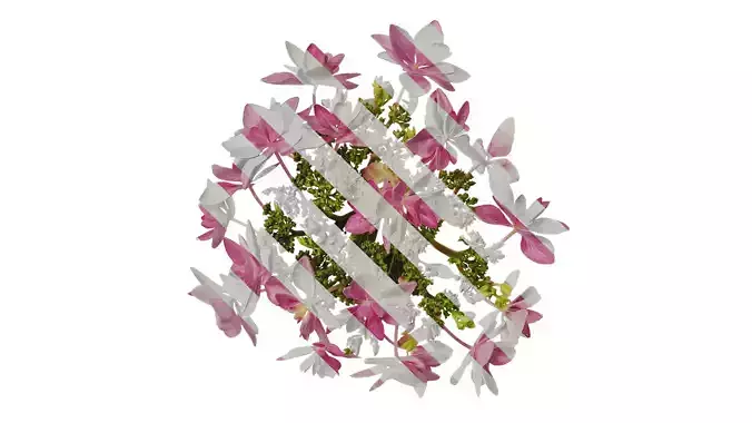 Anydrafts Hydrangea macrophylla Flower 34