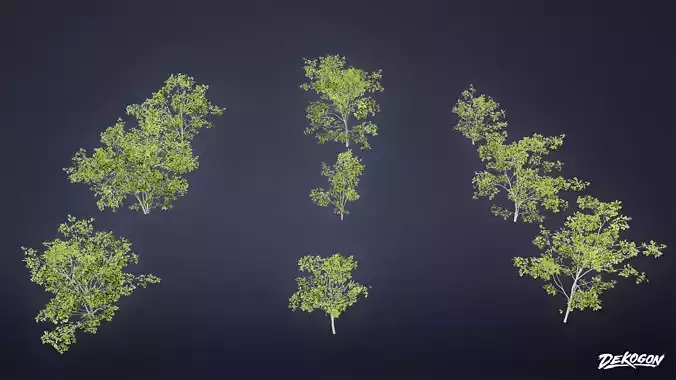 FOLIAGE - Scraggly Bushes - LOW POLY