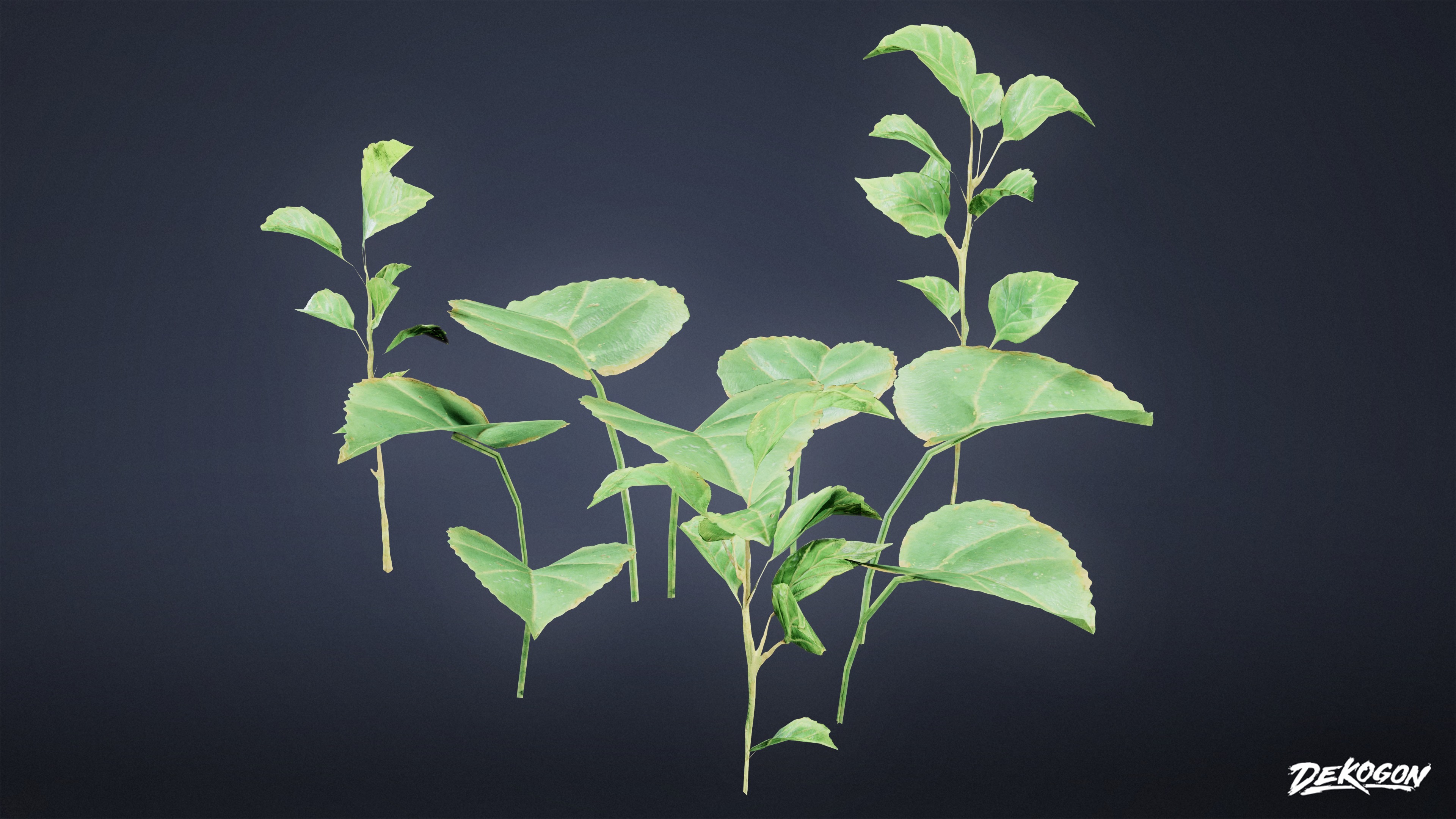 FOLIAGE - Small Weeds 01 - LOW POLY Low-poly 3D model_3