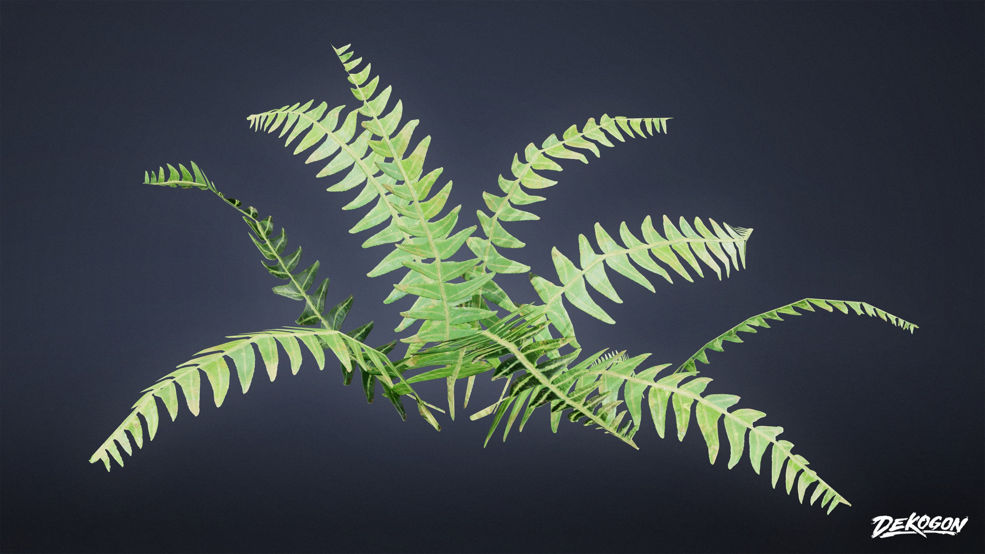 FOLIAGE - Small Weeds 01 - LOW POLY Low-poly 3D model_5