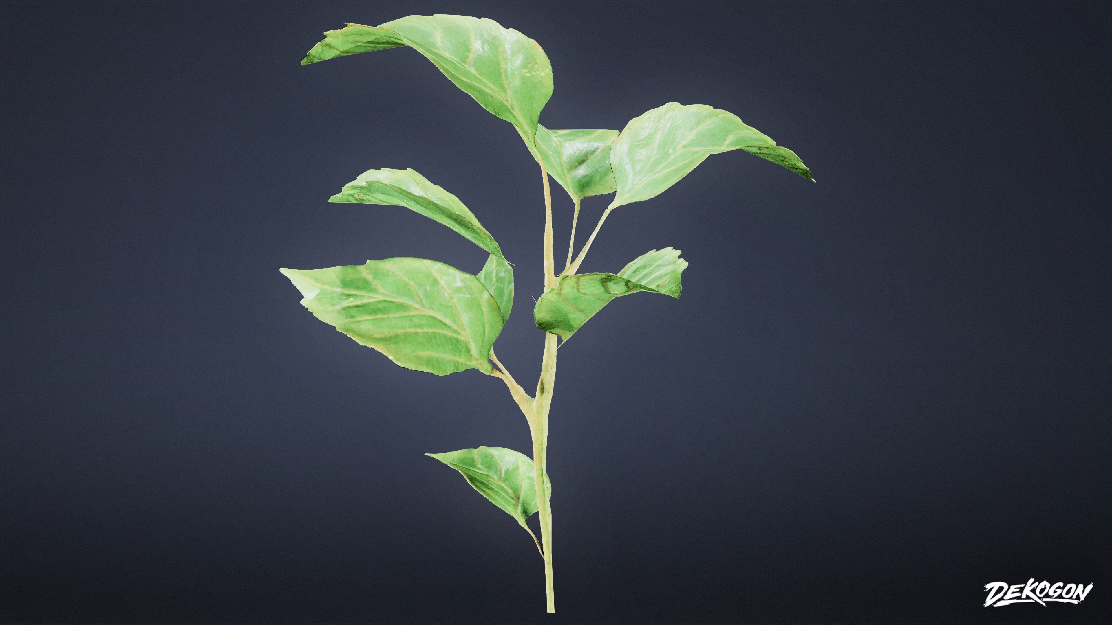 FOLIAGE - Small Weeds 01 - LOW POLY Low-poly 3D model_4