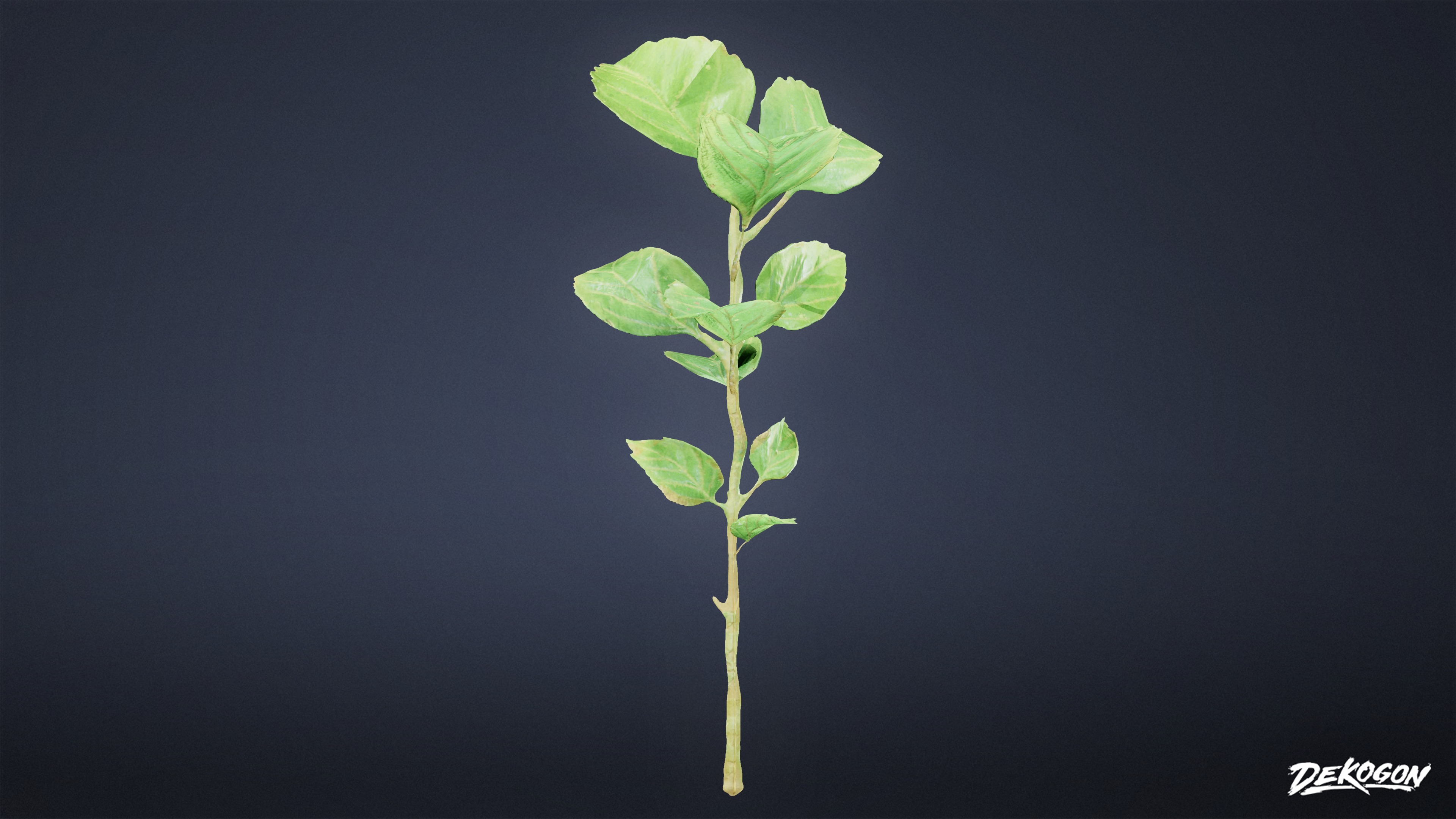 FOLIAGE - Small Weeds 01 - LOW POLY Low-poly 3D model_2