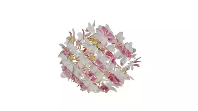 Anydrafts Hydrangea macrophylla Flower 36