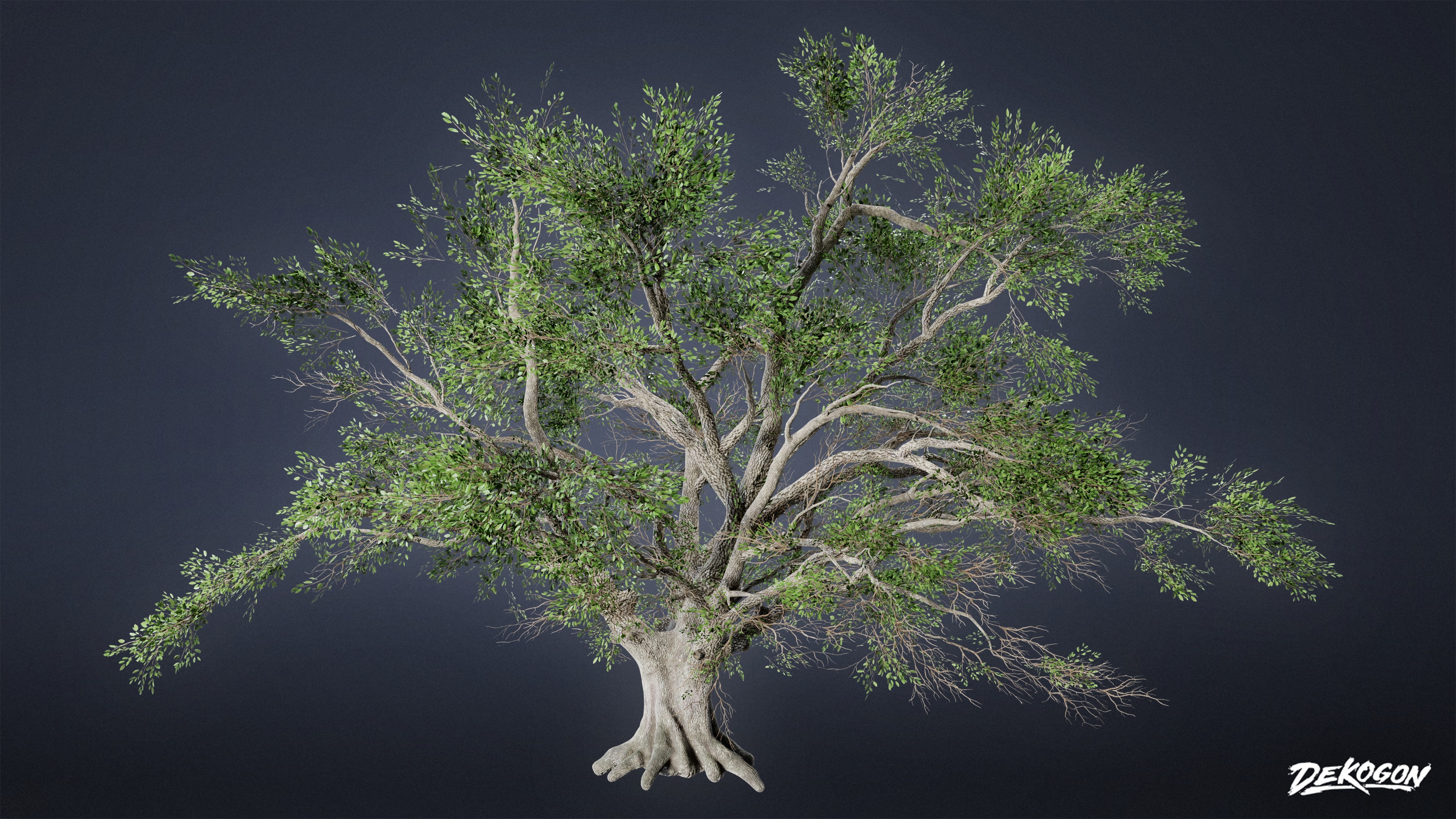 FOLIAGE - Southern Oak 01 - LOW POLY AND NANITE Low-poly 3D model_1