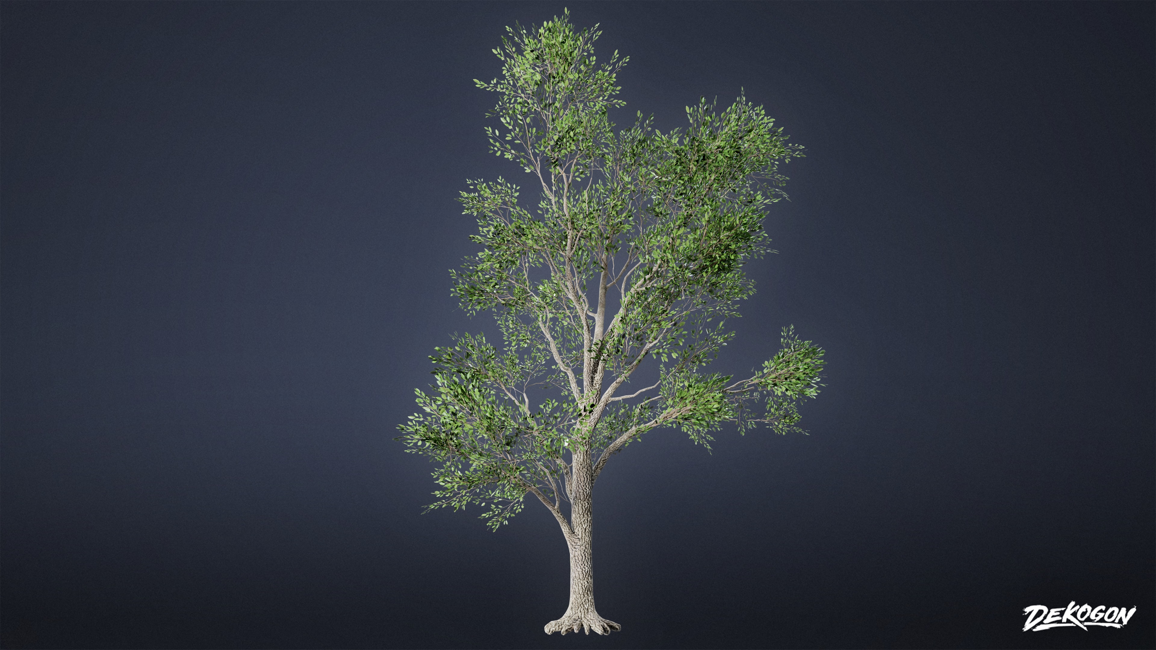 FOLIAGE - Southern Oak 01 - LOW POLY AND NANITE Low-poly 3D model_5