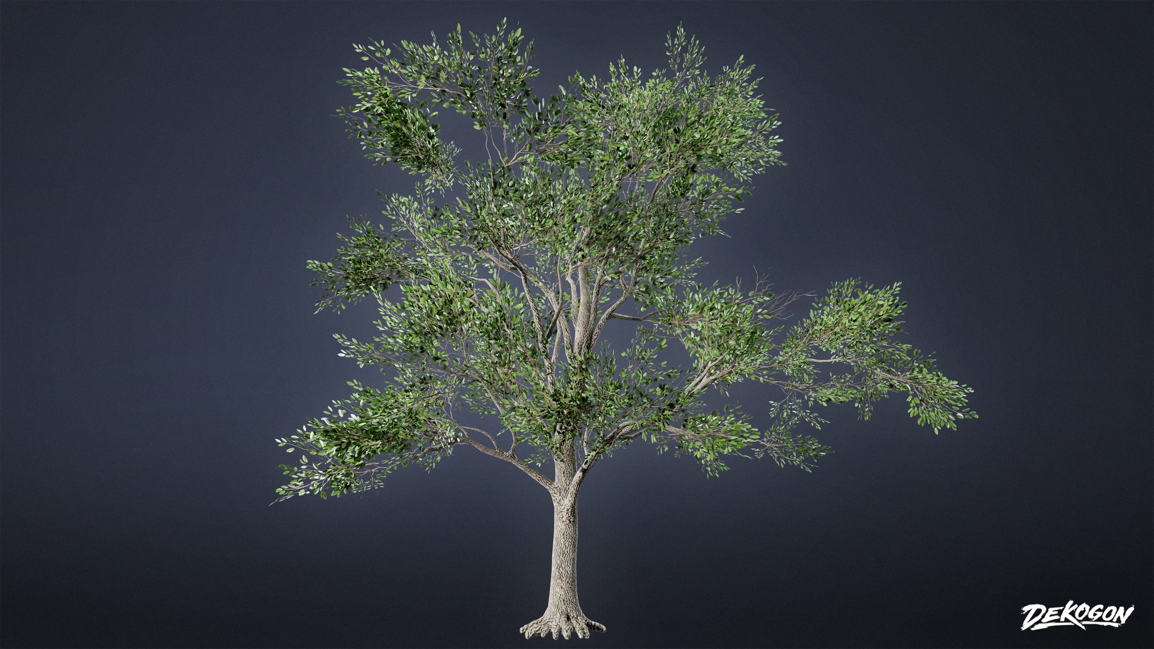 FOLIAGE - Southern Oak 01 - LOW POLY AND NANITE Low-poly 3D model_4