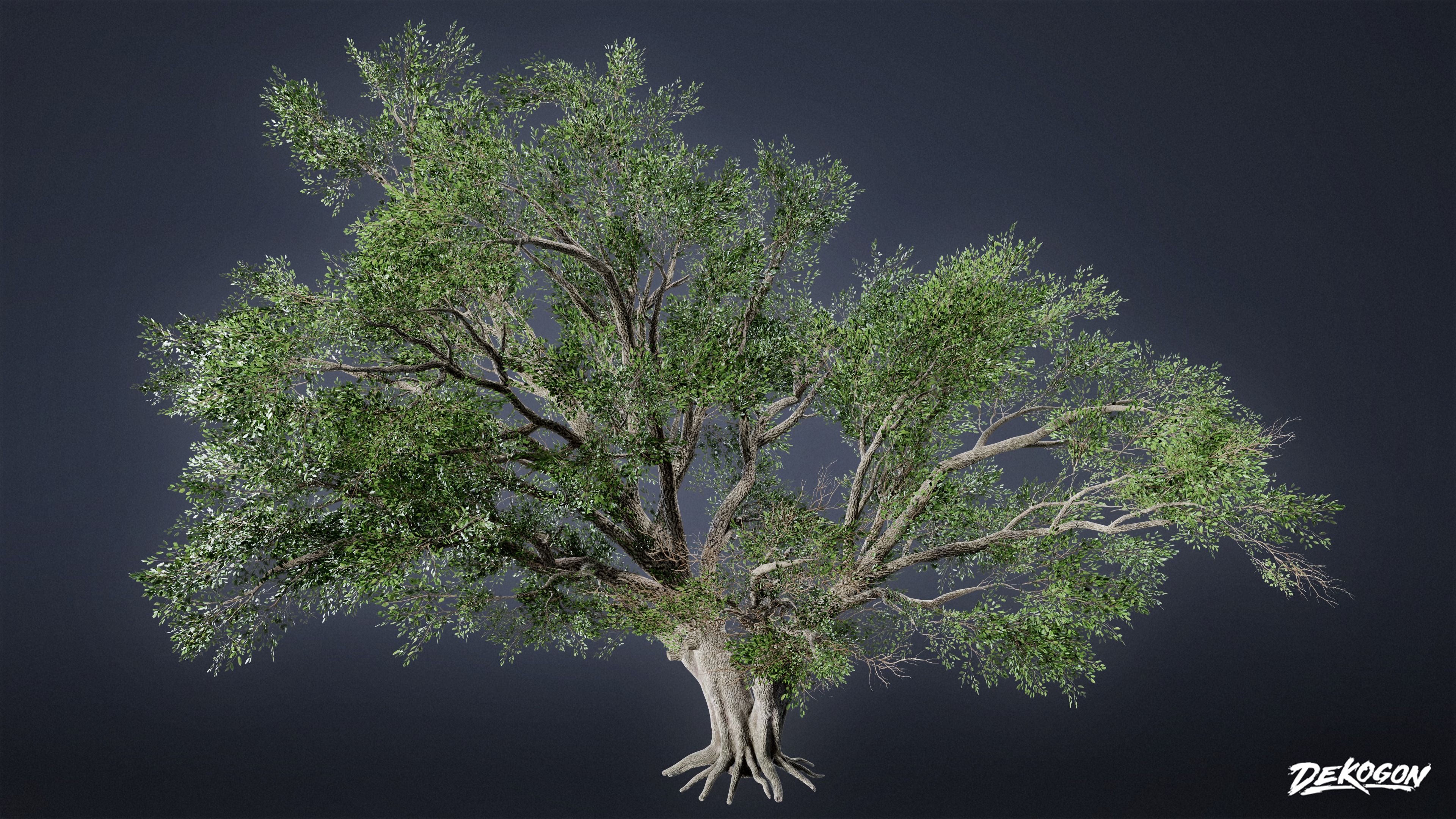 FOLIAGE - Southern Oak 01 - LOW POLY AND NANITE Low-poly 3D model_2